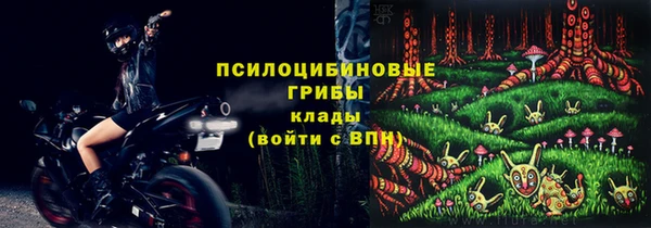 твердый Армянск