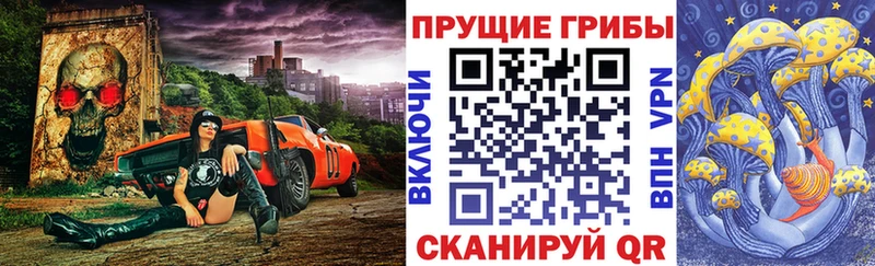 магазин продажи   Карабаш  Галлюциногенные грибы Psilocybe 